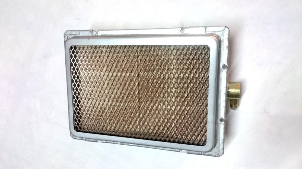 	B1 lucidum LPG	